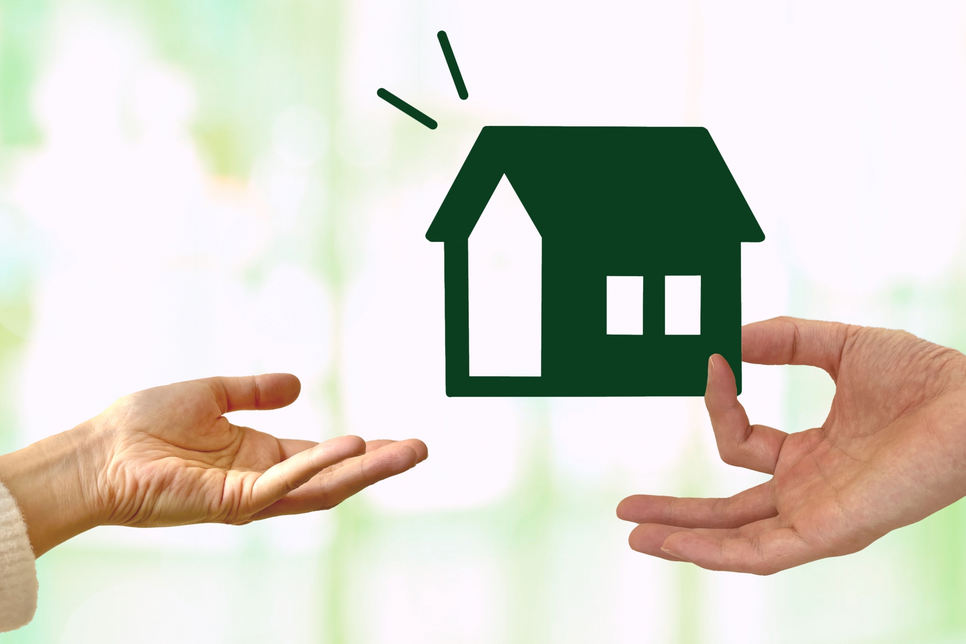 岡山 放置竹林の土地処分・買取相談｜管理限界の山林を負債にしないプロの解決策